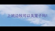 上班边牧可以关笼子吗