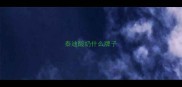 泰迪酸奶什么牌子