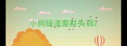 小狗肠道菌群失调