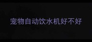 宠物自动饮水机好不好