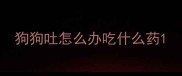 狗狗吐怎么办吃什么药
