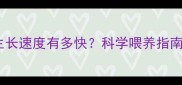 拉布拉多幼犬生长速度有多快科学喂养指南与营养需求全