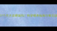 萨摩耶7个月大该喂饭吗科学喂养指南与常见误区全