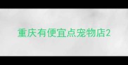 重庆有便宜点宠物店