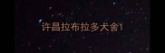 许昌拉布拉多犬舍