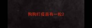 狗狗打疫苗有一粒