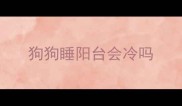 狗狗睡阳台会冷吗