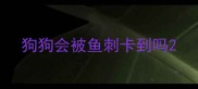 狗狗会被鱼刺卡到吗