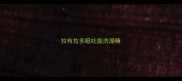 拉布拉多呕吐能洗澡嘛