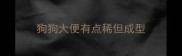 狗狗大便有点稀但成型