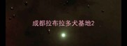 成都拉布拉多犬基地