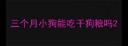 三个月小狗能吃干狗粮吗