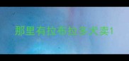 那里有拉布拉多犬卖