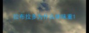 拉布拉多为什么体味重