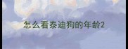 怎么看泰迪狗的年龄
