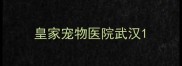 皇家宠物医院武汉