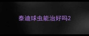 泰迪球虫能治好吗