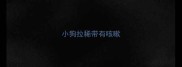 小狗拉稀带有咳嗽