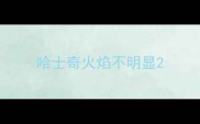 哈士奇火焰不明显