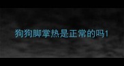 狗狗脚掌热是正常的吗
