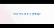 拉布拉多幼犬大便很稀