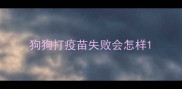 狗狗打疫苗失败会怎样