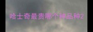 哈士奇最贵哪个种品种
