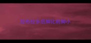 拉布拉多后脚比前脚小