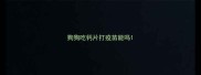 狗狗吃钙片打疫苗能吗