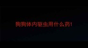 狗狗体内驱虫用什么药