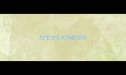 拉布拉多犬狗粮幼狗