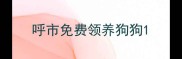 呼市免费领养狗狗