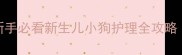 小狗夭折怎么办新手必看新生儿小狗护理全攻略附紧急处理步骤