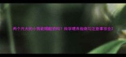 两个月大的小狗能喝酸奶吗科学喂养指南与注意事项全