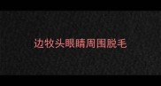 边牧头眼睛周围脱毛