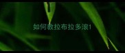 如何教拉布拉多滚
