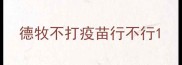德牧不打疫苗行不行
