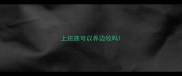 上班族可以养边牧吗