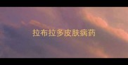 拉布拉多皮肤病药