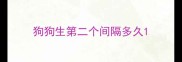 狗狗生第二个间隔多久