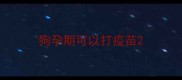 狗孕期可以打疫苗