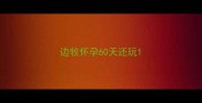 边牧怀孕60天还玩