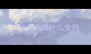 拉布拉多用什么食物