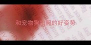 和宠物狗拍照的好姿势