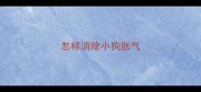 怎样消除小狗胀气
