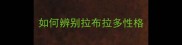 如何辨别拉布拉多性格