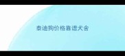 泰迪狗价格靠谱犬舍
