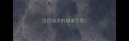 边牧幼犬的脚掌变黑