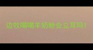 边牧喝喝羊奶粉会立耳吗
