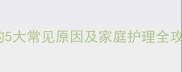 小狗频繁打嗝不止的5大常见原因及家庭护理全攻略附3步解决法